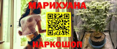 прущие крисы Можга