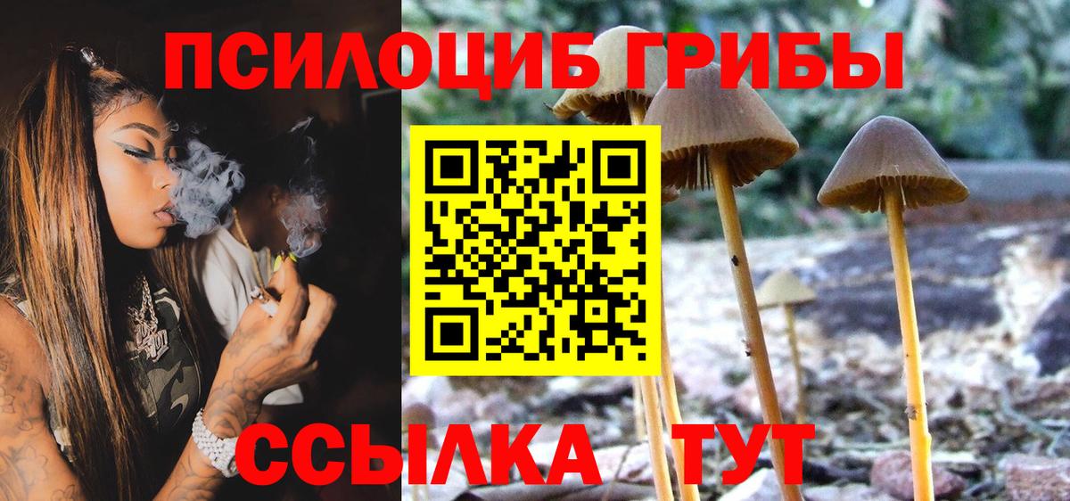 Соликамск  Псилоцибиновые грибы Magic Shrooms  Вход с VPN  Псилоцибиновые грибы прущие грибы 
